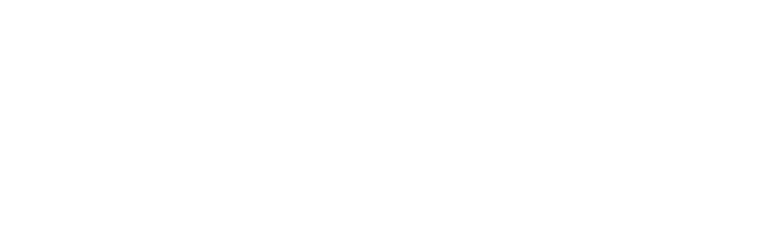 Ace Logo White